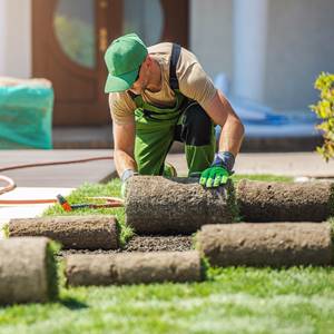 Professional landscaping